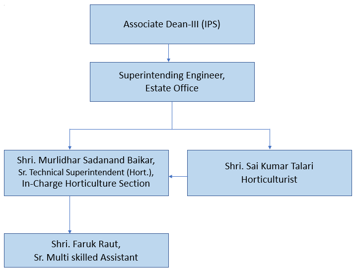 Organization Structure 