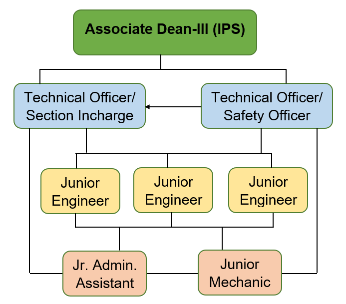 Organization Structure 